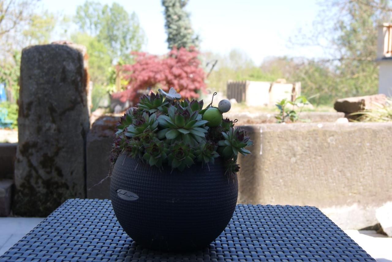 Apartment Petite Vallee